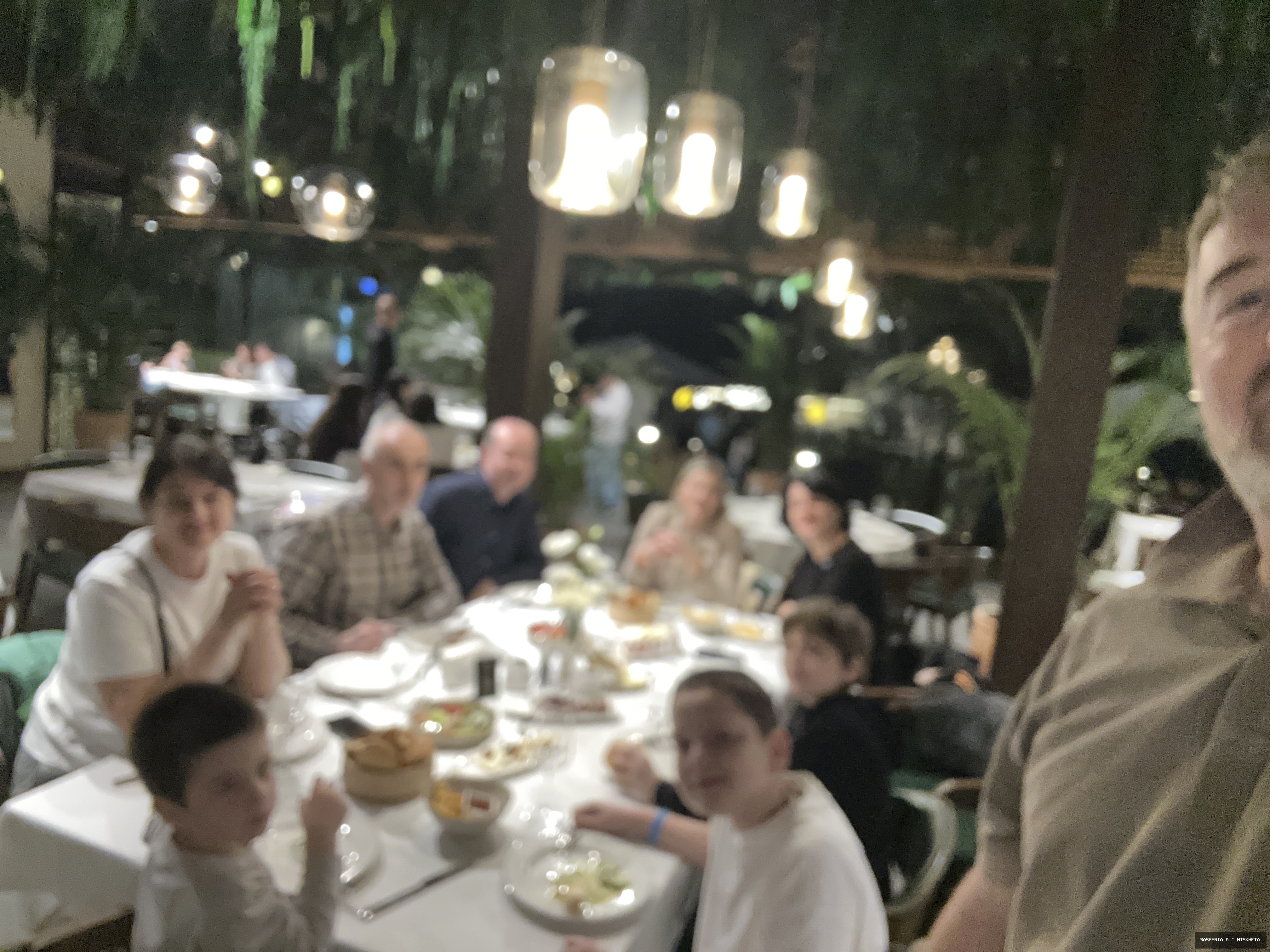 სტუმრის მოგონება